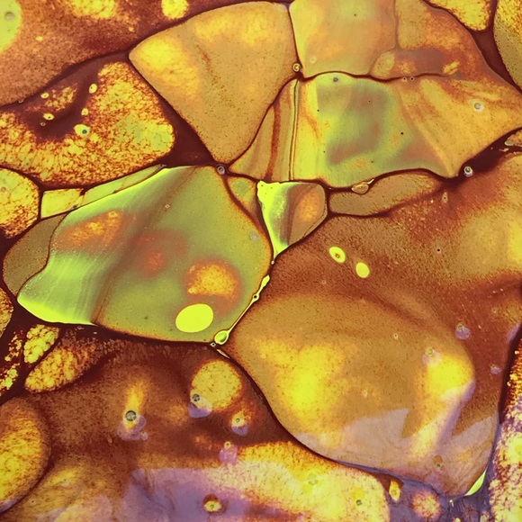 Meet your Posher, Alyssa - Picture 1 of 1